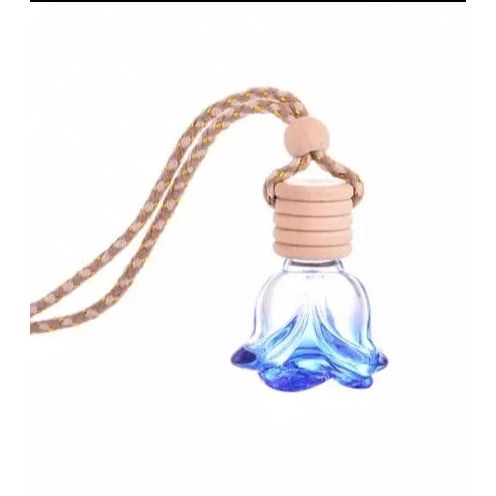 Car Diffuser with your choice of Fragrance Oil