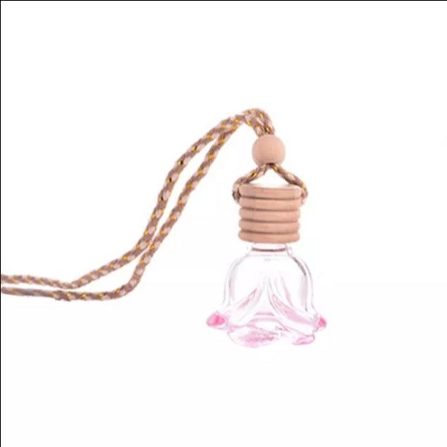 Car Diffuser with your choice of Fragrance Oil